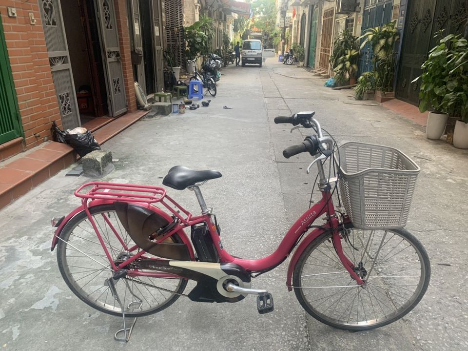 Xe đạp trợ lực điện Brigestone Assista của Nhật (Còn xe)